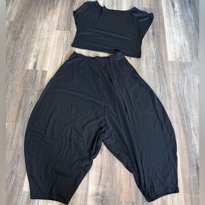 Top and Loose Harem Pant Two Piece Set